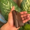 Caddy smart wallet